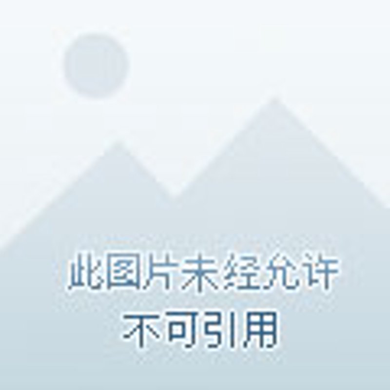 昌图电子商务：新兴商业模式引领新机遇